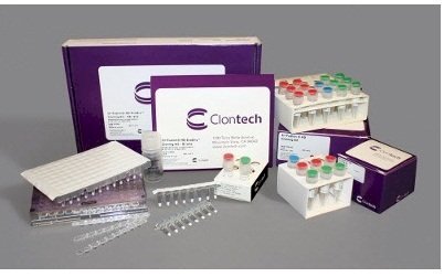 DNA Ligation Kit