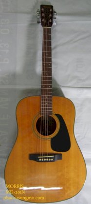 Đàn guitar Acoustic Morris MD-210N