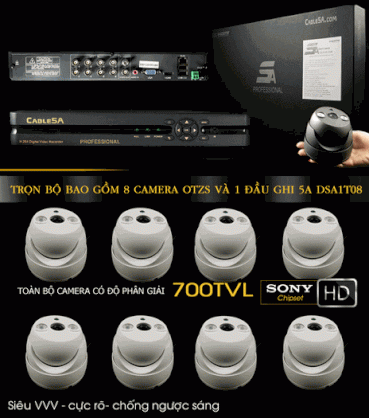 Trọn bộ 8 kênh Cable5a DSA1T08 - HDMI OTZS