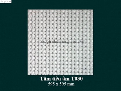 Tấm thạch cao tiêu âm Dịch Hồng T030 (595x595mm)