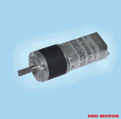 Động cơ điện DS-22RP1800249000-304K