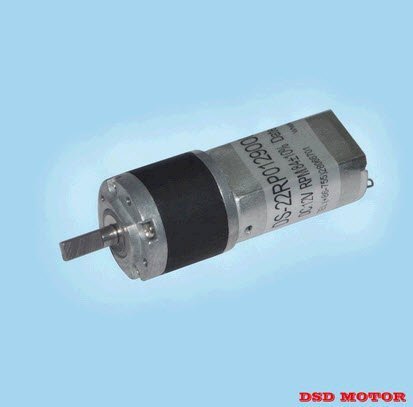 Động cơ điện DS-22RP1800129000-509K