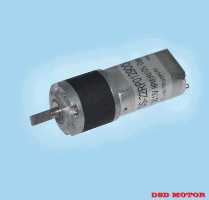 Động cơ điện DS-22RP1800126000-256K