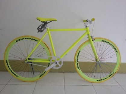 Fixed Gear