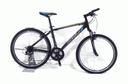 Xe đạp thể thao MTB Giant 2013 IRIDE2100
