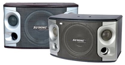 Loa Suyang BA-555 (3-way, 350W)