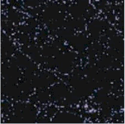 Gạch lát Viglacera Thăng Long SN3006