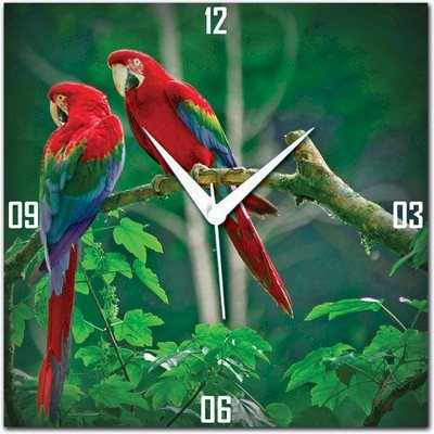  Amore Parrot 113508 Analog Wall Clock (Multicolor) 