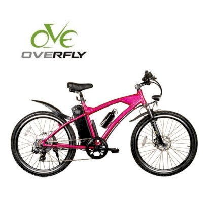 Xe đạp điện OverFly XY-TDE03Z 2015
