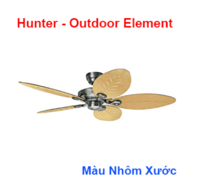 Quạt trần trang trí  Hunter Outdoor Element 24323-25