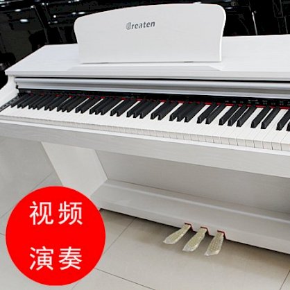 Great Digital Piano DK300 
