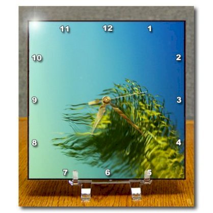 DC_185307_1 Florene - Water Abstract - Print of Cool Aqua n Blue Palm Water Reflection - Desk Clocks - 6x6 Desk Clock