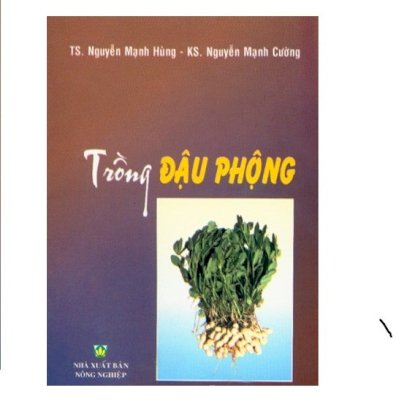 Trồng đậu phộng