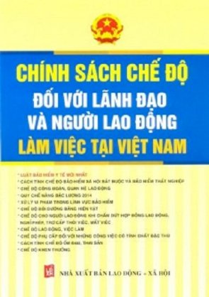 Chính sách chế độ đối với lãnh đạo và người lao động làm việc tại Việt Nam