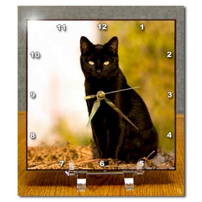 3dRose LLC Black Cat Desk Clock, 6 by 6-Inch