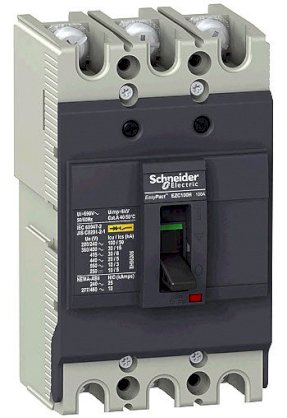 Cầu dao tự động MCCB Schneider Easypact EZC100F30100