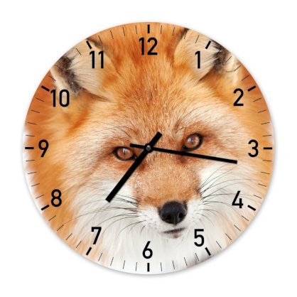 Đồng hồ treo tường Clockadoodledoo Fox Face