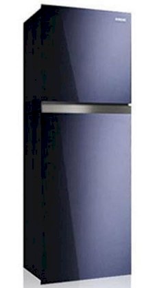 Tủ lạnh Samsung RT35FAUCD