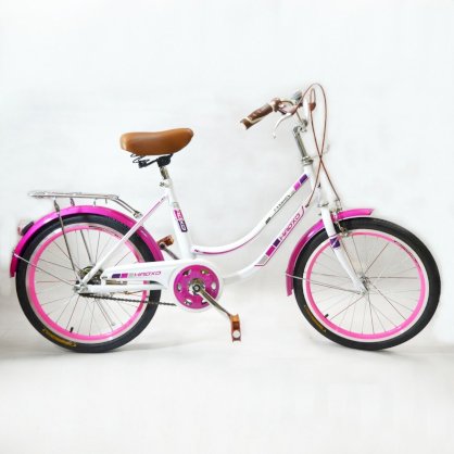 Xe đạp mini HaoXD