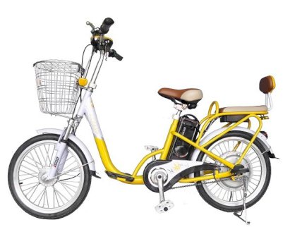 Xe đạp điện Gianya 029
