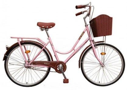 Xe đạp Winn Lady 24