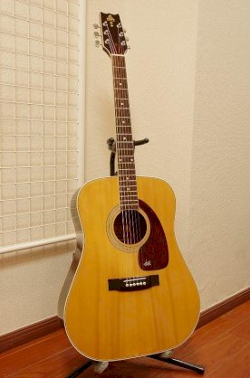 Acoustic Takehura WT-200