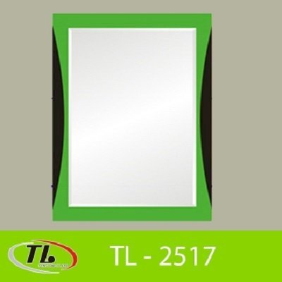 Gương 4 số 2 lớp Tùng Lâm TL-2517