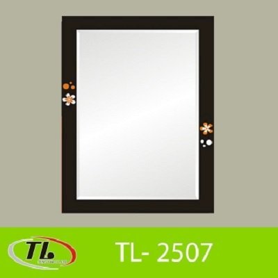 Gương 4 số 2 lớp Tùng Lâm TL-2507