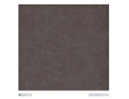 Gạch Granite phủ men Taicera G68919 60x60