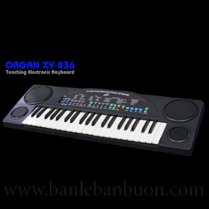 Đàn Organ Xinyun XY-836