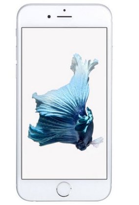 Apple iPhone 6S Plus 64GB Silver (Bản Lock)