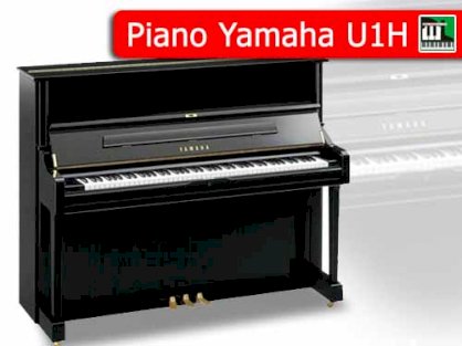 Đàn Piano Yamaha U1E Serial 596413