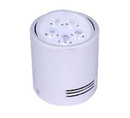 Đèn ống (Đèn lon) có 2 màu LEDlife MTZD004