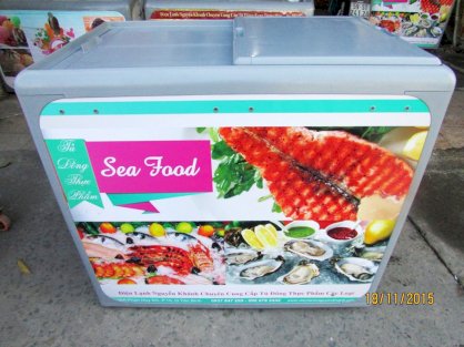 Tủ đông thực phẩm Thái Lan 300 lít (Nắp form) NEW