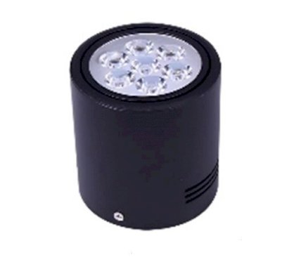 Đèn ống (Đèn lon) có 2 màu LEDlife MTZD005