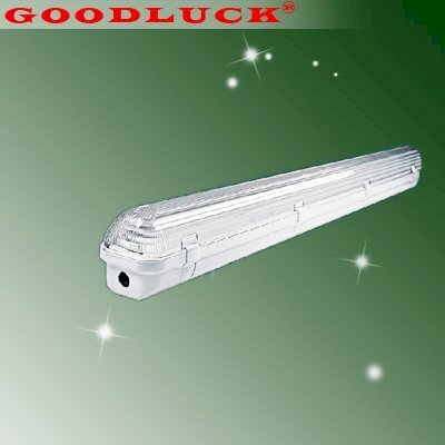 Máng đèn chống thấm Goodluck GIP65