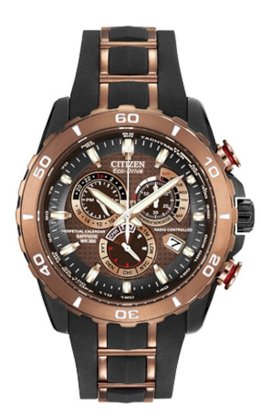 CITIZEN Eco-Drive Limited Edition Perpetual Chrono A-T Atomic Clock Synchronization Watch 45mm Eco-Drive E650