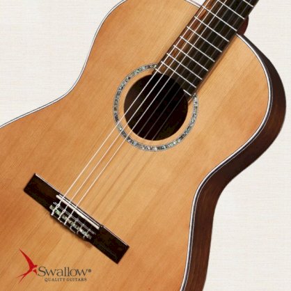 Đàn Classic Guitar Swallow CW02