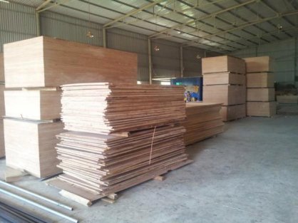 Ván Ép Thông Dụng Good Wood VE001