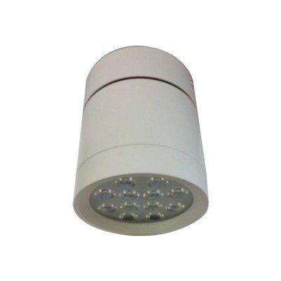 Đèn Downlight Epistar lắp nổi OBR-15 màu trắng