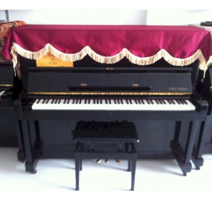 Đàn Piano Fpitz Kuhla 30