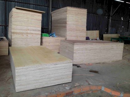 Ván gỗ Plywood Lâm Nguyễn Thu 25x1220x2440mm