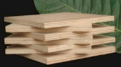 Ván ép (plywood) Lâm Nguyễn Thu LNT282