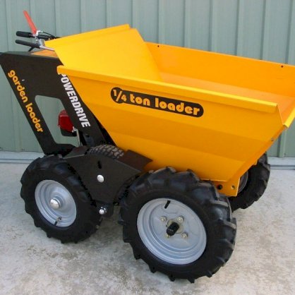 Xe rùa động cơ D-track loader