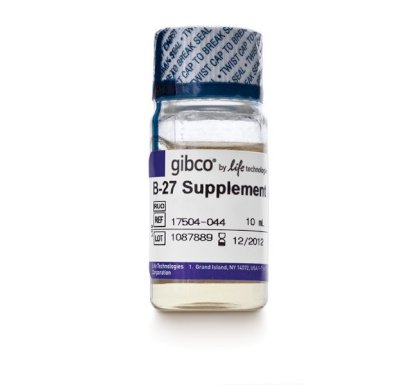 B-27® Supplement (50X), serum free