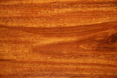 Sàn gỗ công nghiệp Newsky WE622 (12.3 x 130 x 808mm)