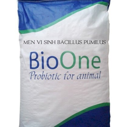 Men vi sinh Bacillus Pumilus BioOne - cung cấp men vi sinh nguyên liệu