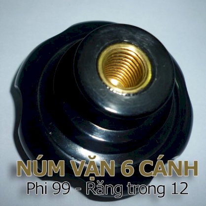 Núm vặn 6 cánh Doti Ø99 - Răng trong 12mm