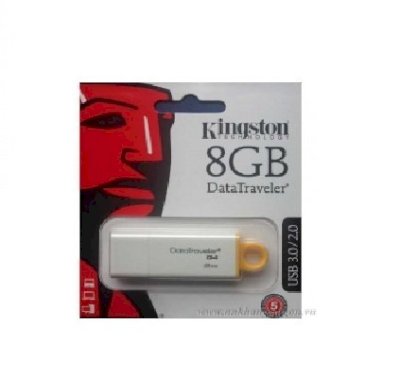 USB memory USB 8G KINGSTON FPT