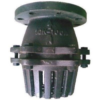 Van hút Luppe rọ gang (FOOT VALVE) DN65 - inch 2 1/2"